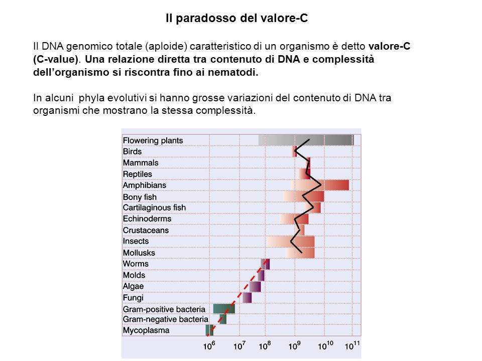 Applicazioni Della Genetica Ppt Video Online Scaricare